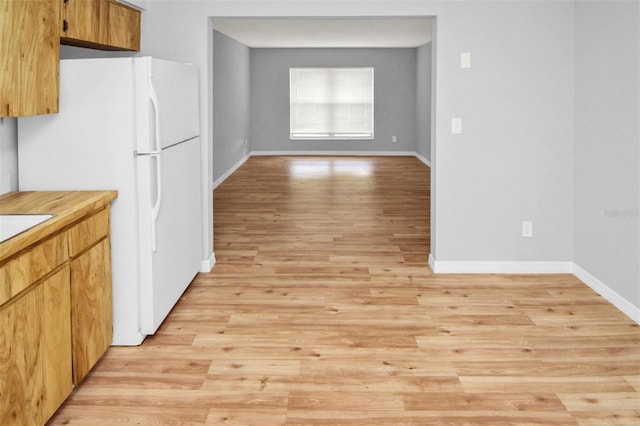 kitchen featuring light hardwood / wood-style flooring and white fridge