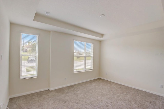 empty room featuring a wealth of natural light and light colored carpet