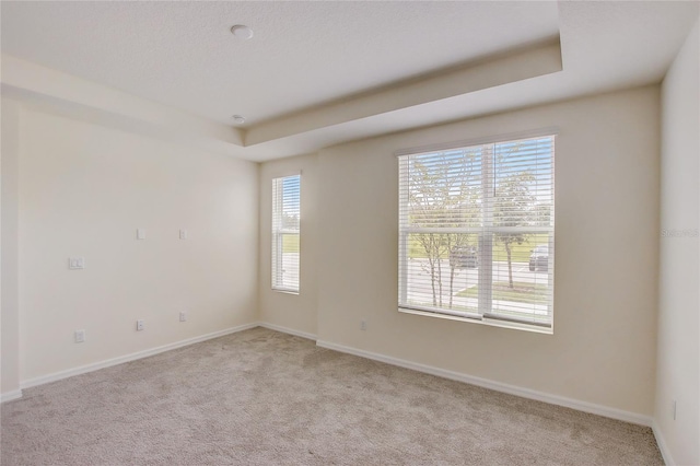 carpeted spare room with a tray ceiling and plenty of natural light