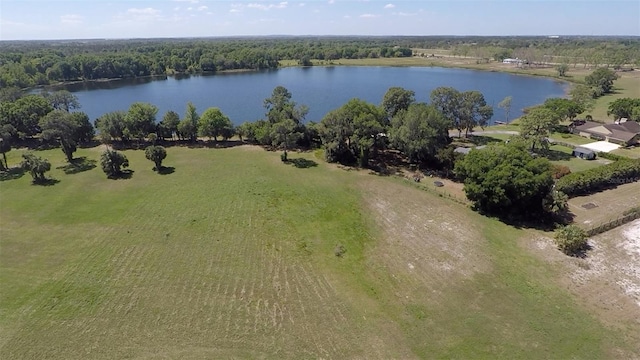 3412 Lake Diane Rd, Tavares FL, 32778 land for sale