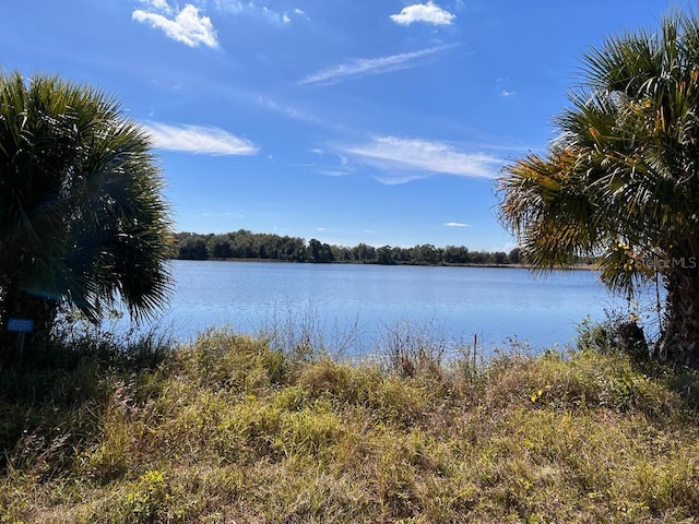 Listing photo 2 for 3412 Lake Diane Rd, Tavares FL 32778