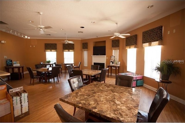 dining area with ceiling fan, ornamental molding, track lighting, and hardwood / wood-style flooring