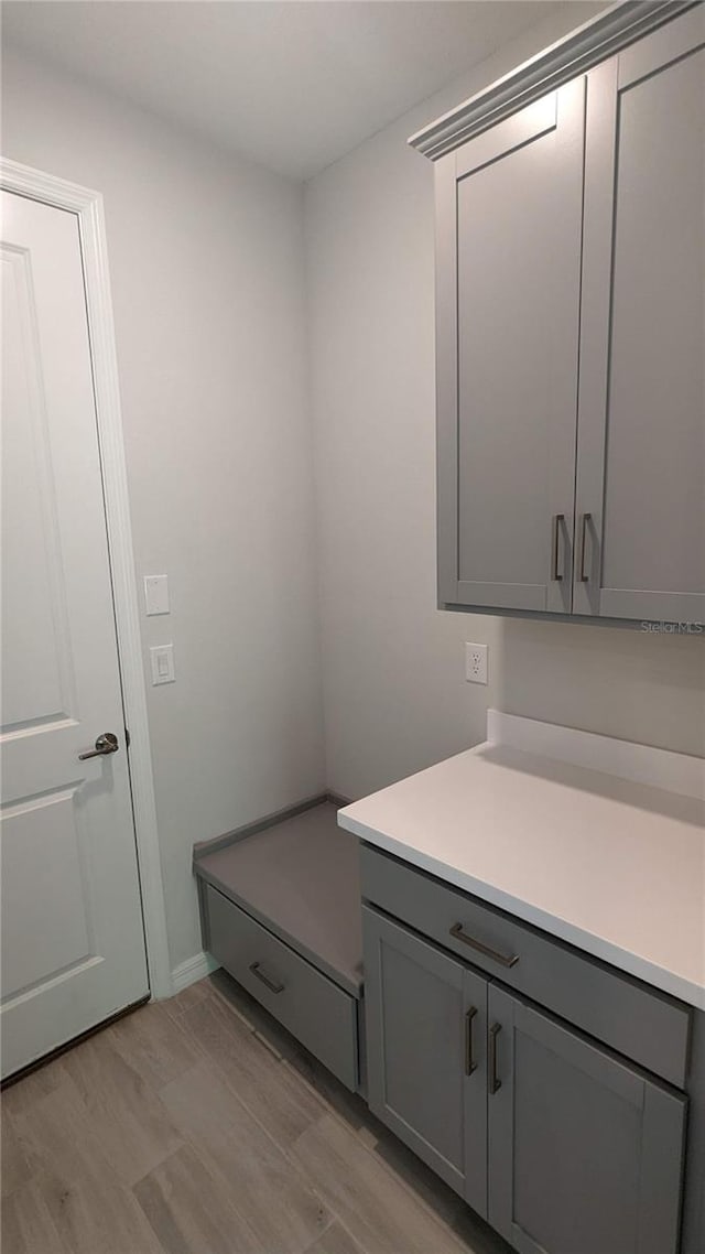 washroom featuring light hardwood / wood-style floors