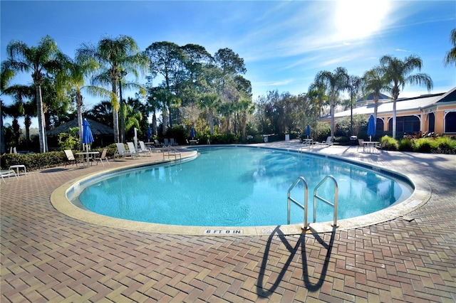 view of swimming pool with a patio area