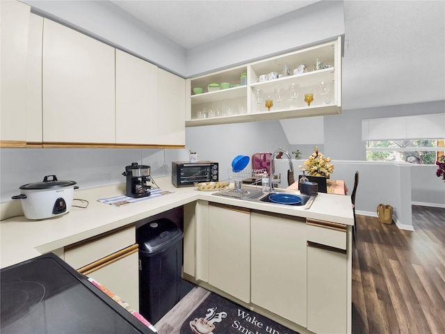 kitchen with white cabinetry, sink, and dark hardwood / wood-style flooring