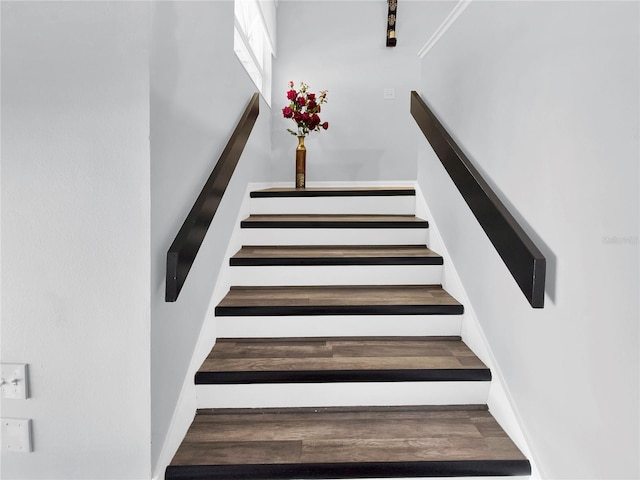 staircase with dark hardwood / wood-style flooring