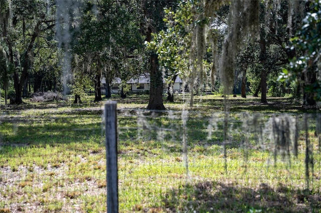 view of local wilderness