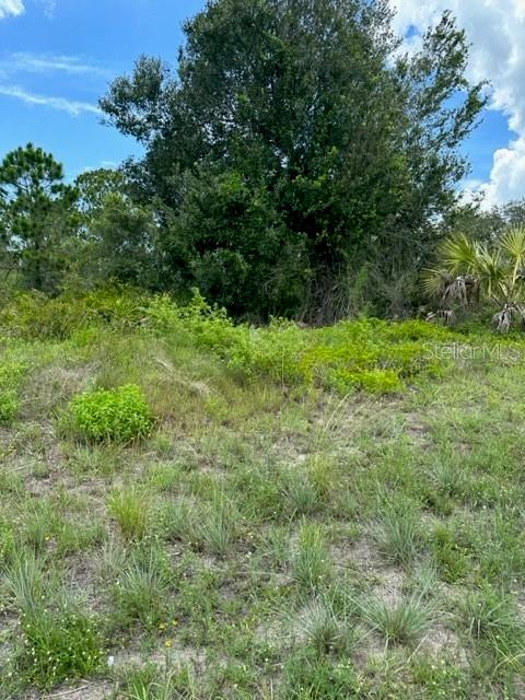 230 Columbus Blvd, Lehigh Acres FL, 33974 land for sale