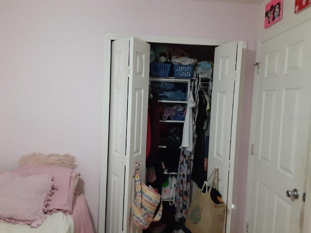 view of closet