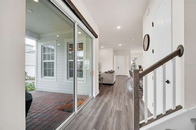 hall featuring wood-type flooring and a wealth of natural light