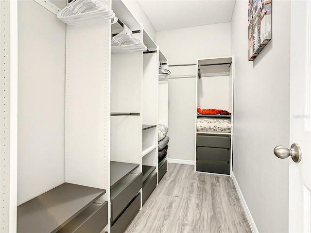 spacious closet featuring light hardwood / wood-style floors