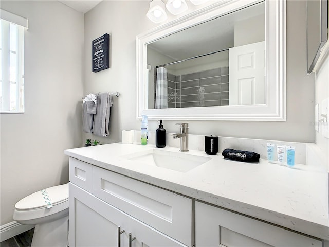 bathroom with toilet and vanity