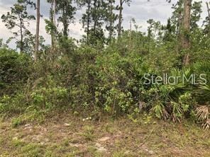 20581 NW 246th St, Okeechobee FL, 34972 land for sale