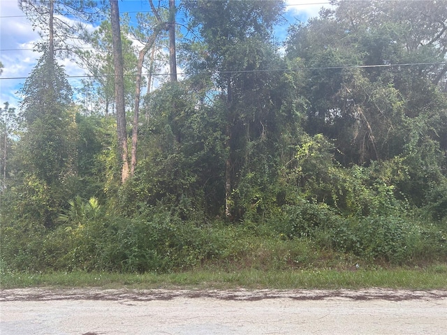 7374 Willoughby Dr, Webster FL, 33597 land for sale