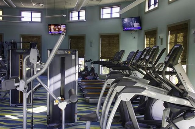 workout area featuring a healthy amount of sunlight and a high ceiling