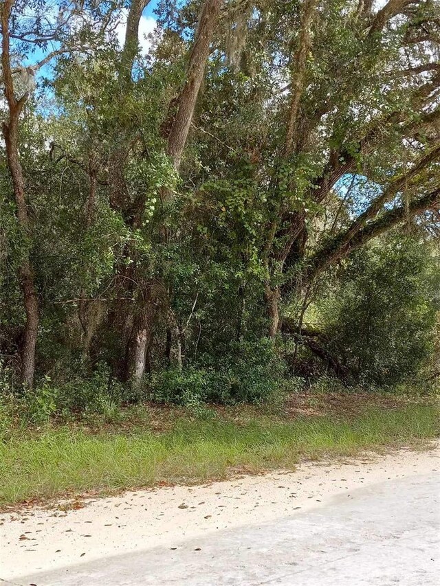 0 Norway St, Webster FL, 33597 land for sale