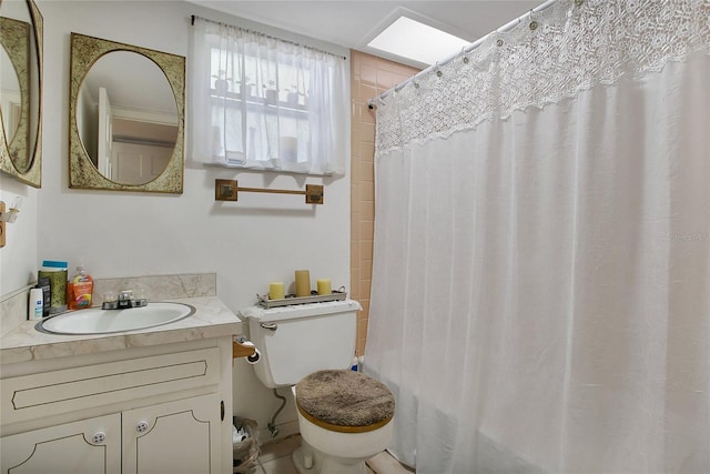 bathroom featuring toilet and oversized vanity