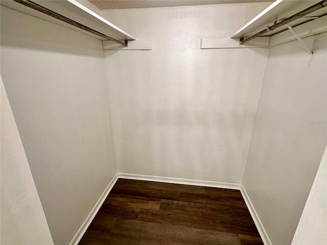 walk in closet featuring wood-type flooring