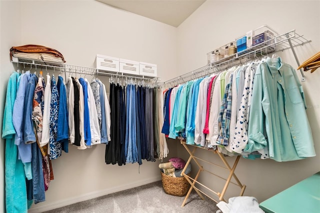 walk in closet with light colored carpet