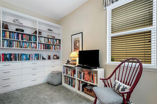 sitting room featuring carpet flooring