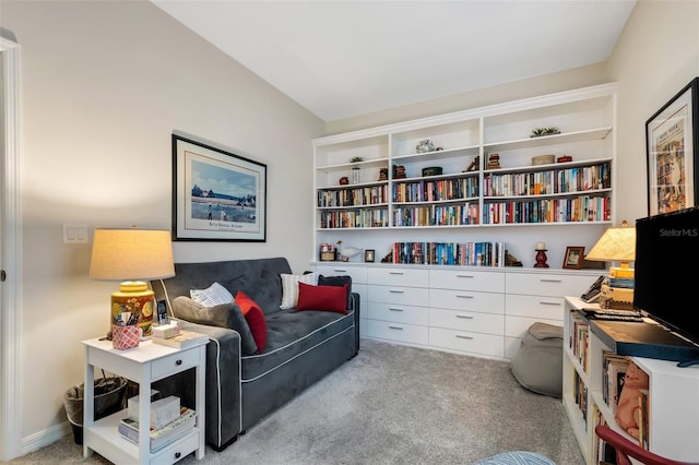 living area featuring light colored carpet