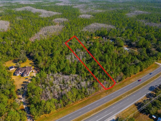 20209 E Colonial Dr, Christmas, FL 32709 - photo 4