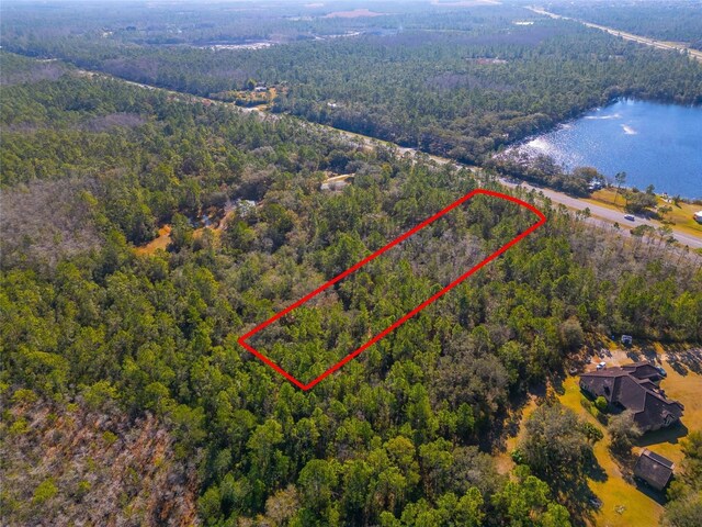 20209 E Colonial Dr, Christmas, FL 32709 - photo 5
