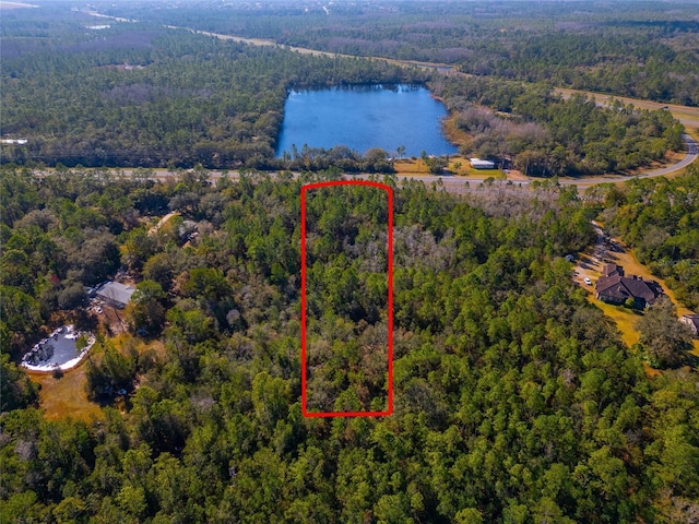 20209 E Colonial Dr, Christmas, FL 32709 - photo 6