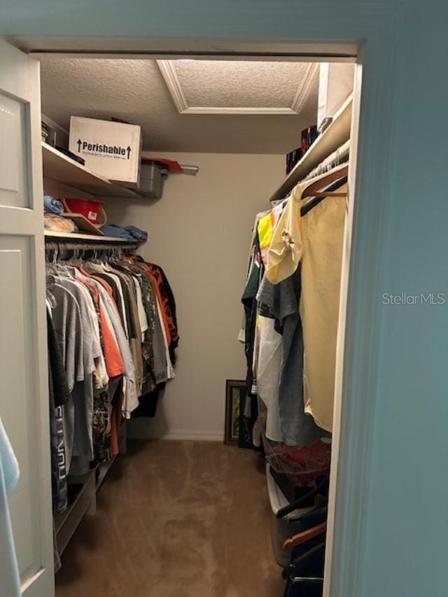 walk in closet with carpet