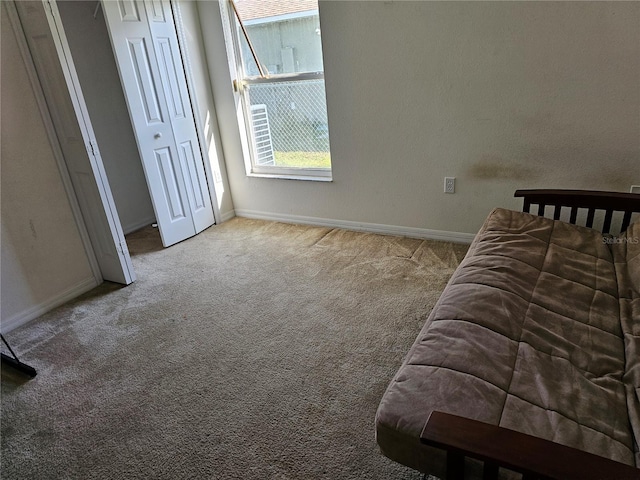 carpeted bedroom featuring a closet