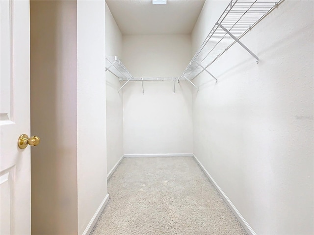 walk in closet featuring light colored carpet