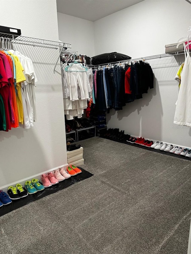 walk in closet featuring carpet