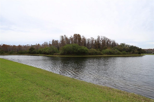 view of water feature