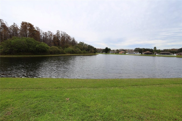 view of water feature