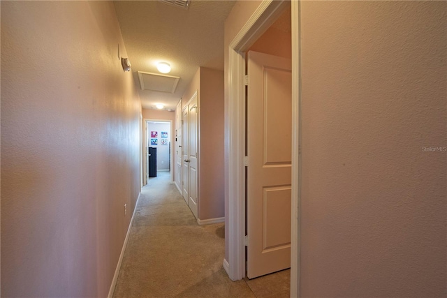3171 Tocoa Cir, Kissimmee, FL 34746 - hall featuring attic access, baseboards, and light carpet