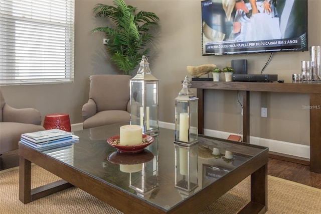 living room featuring dark hardwood / wood-style flooring