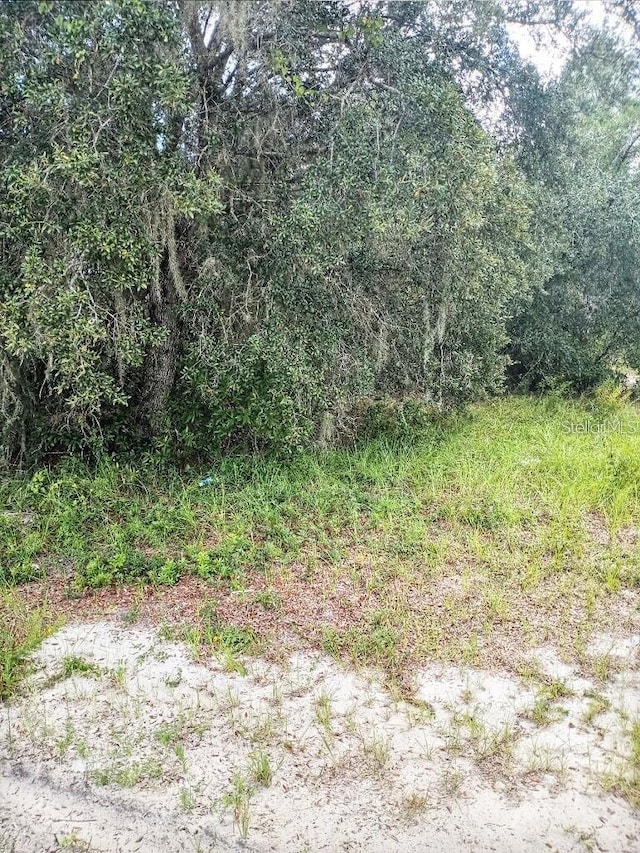 1263 Baltic Dr, Poinciana FL, 34759 land for sale