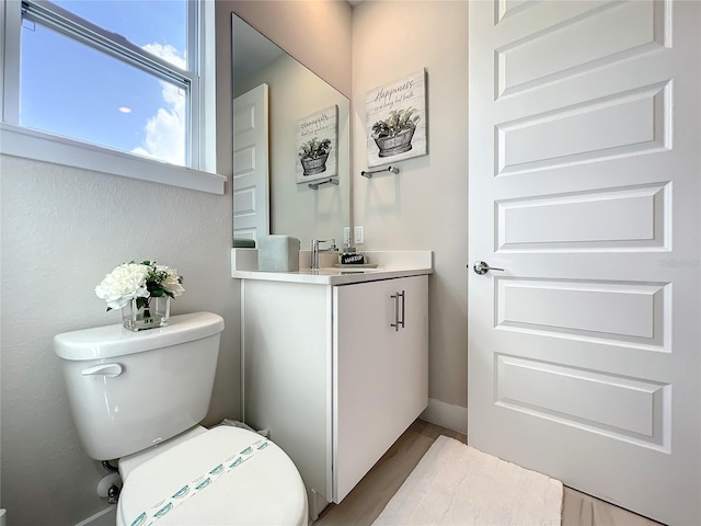 bathroom featuring toilet and vanity with extensive cabinet space