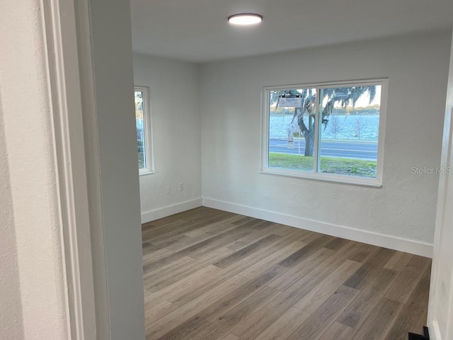 spare room featuring wood-type flooring