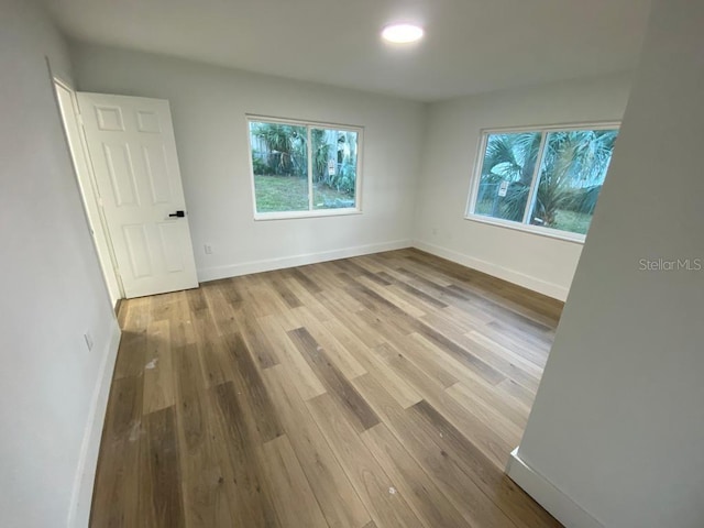 empty room featuring light wood-type flooring and a wealth of natural light