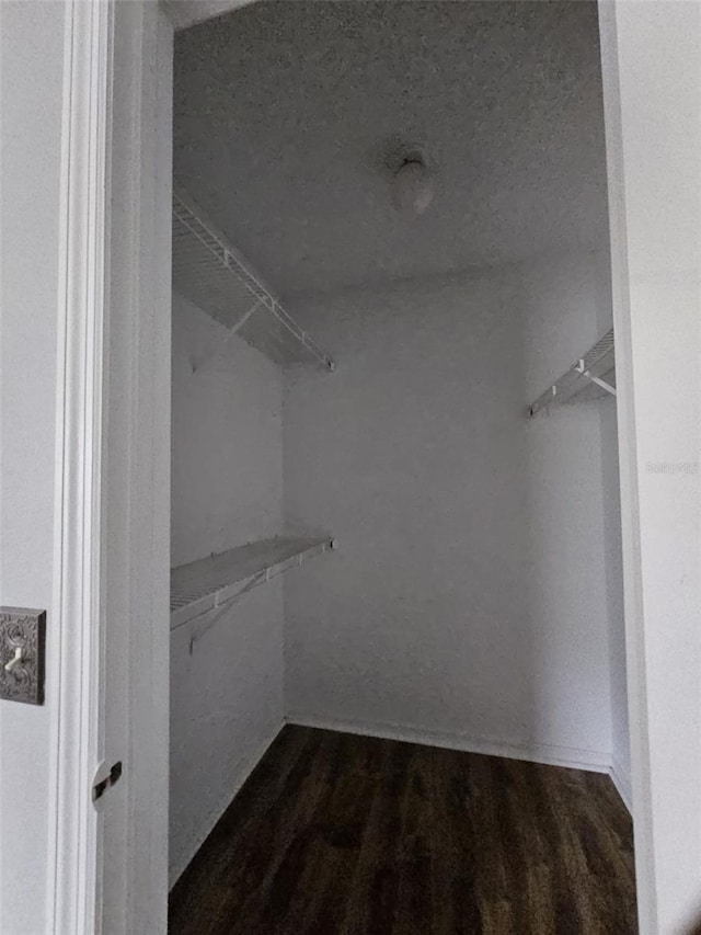 walk in closet featuring dark hardwood / wood-style floors