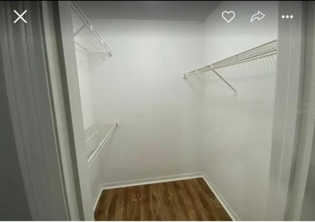 walk in closet with dark wood-type flooring