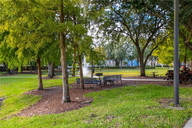 view of home's community featuring a yard