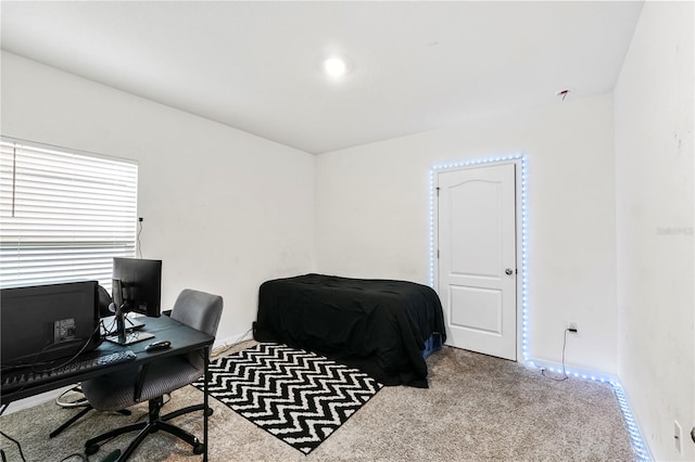 bedroom featuring carpet