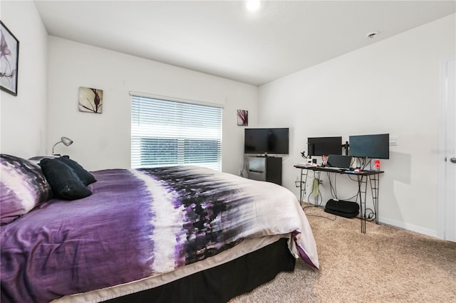 bedroom with carpet flooring