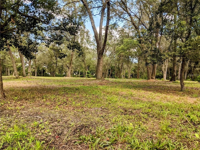 Wagon Ct, Saint Cloud FL, 34772 land for sale