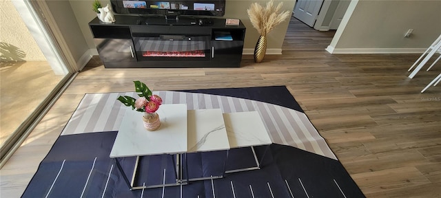 dining space with hardwood / wood-style floors