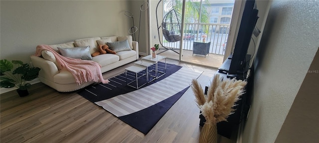 living room featuring hardwood / wood-style flooring