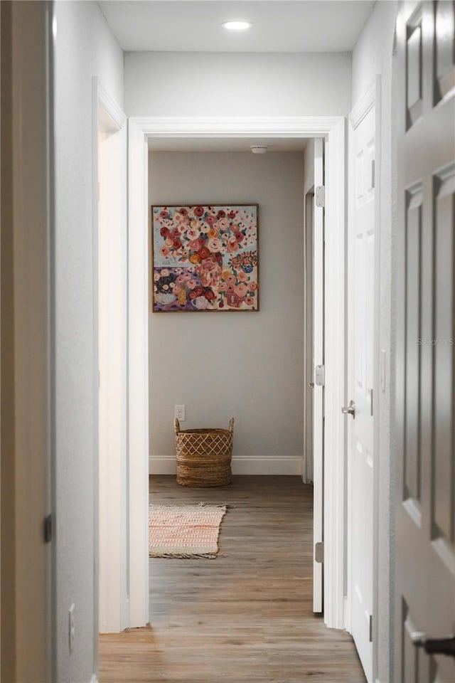 hallway featuring light hardwood / wood-style flooring