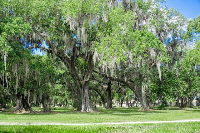 view of property's community with a lawn